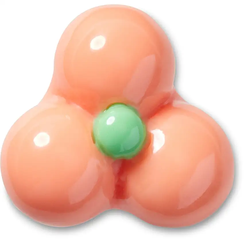 Jibbitz Crocs Expressive Floral Pink