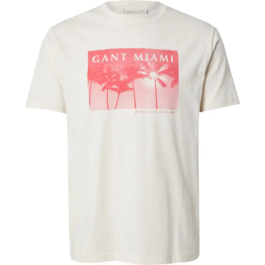T-shirt Gant Graphic [Misura S]