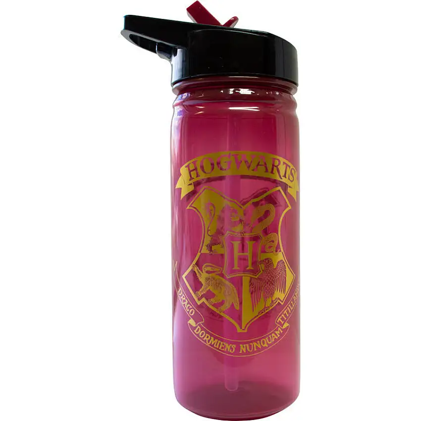 Scuotitore Kids Licensing Harry Potter Hogwarts [Misura 600 ml]