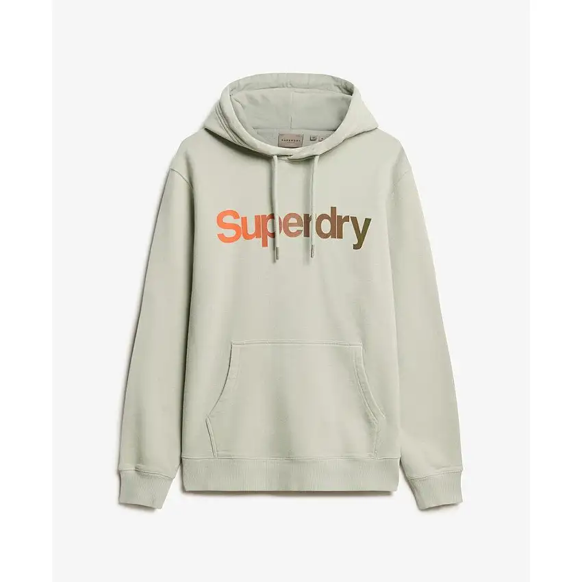 Felpa con cappuccio, aderente, con cappuccio Superdry Core Logo Fade