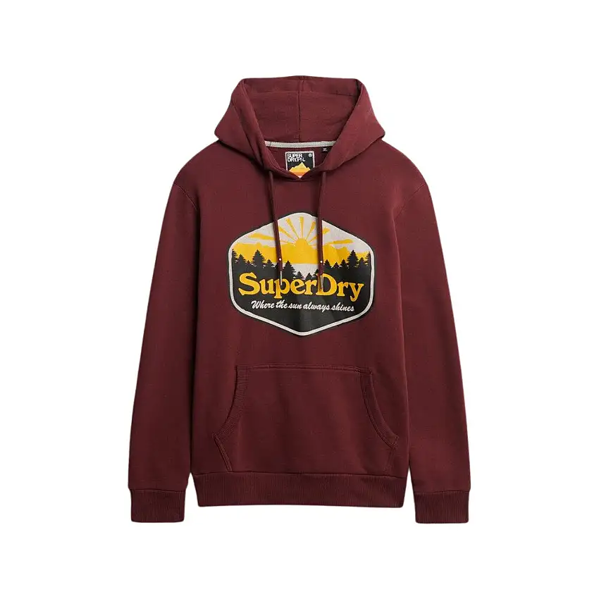 Felpa con cappuccio Superdry Sun Tab