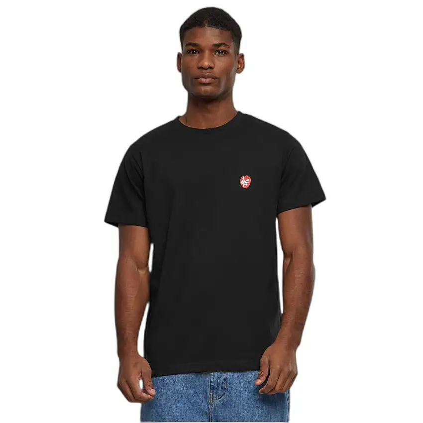 T-shirt Zoo York Zm241-022-3 Apple